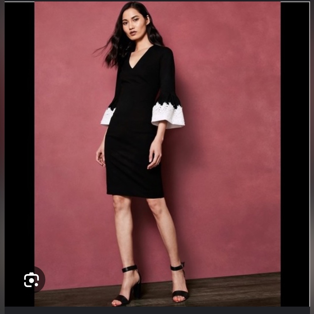 Ted Baker Rastrel Dress Embroidered Sleeve